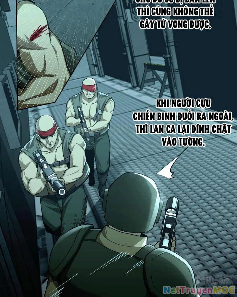 Truyền Kỳ Thái Lạc Chapter 116 - Trang 2