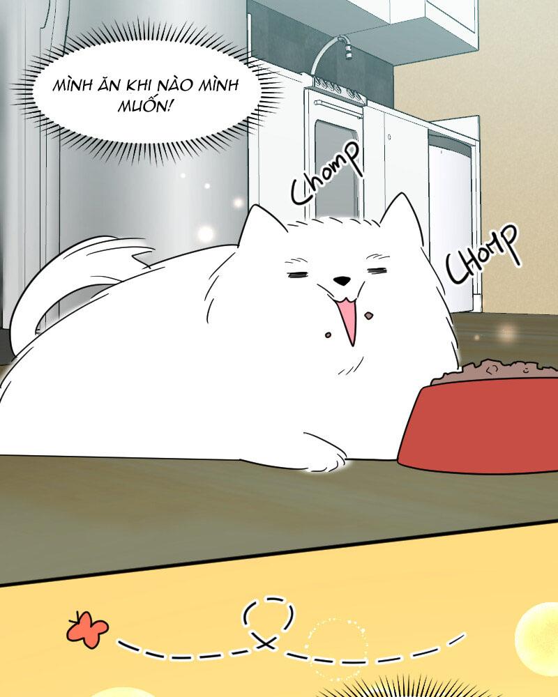 Truyện Ngôn Nhưng Không Ngôn Lắm Chapter 15 - Trang 2