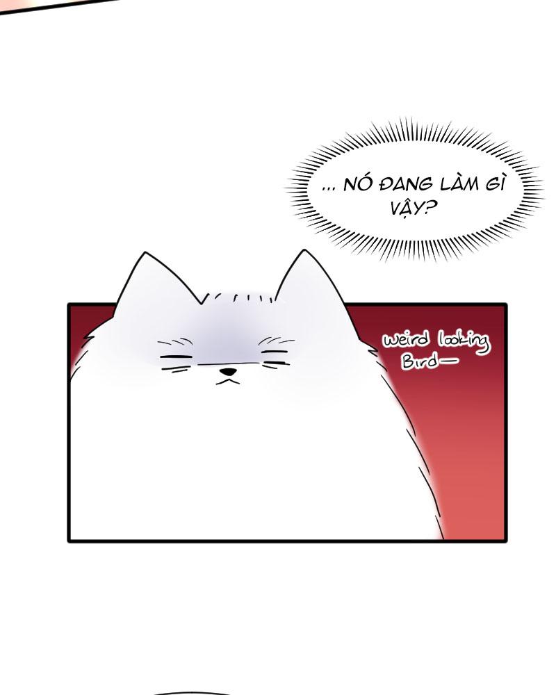 Truyện Ngôn Nhưng Không Ngôn Lắm Chapter 15 - Trang 2