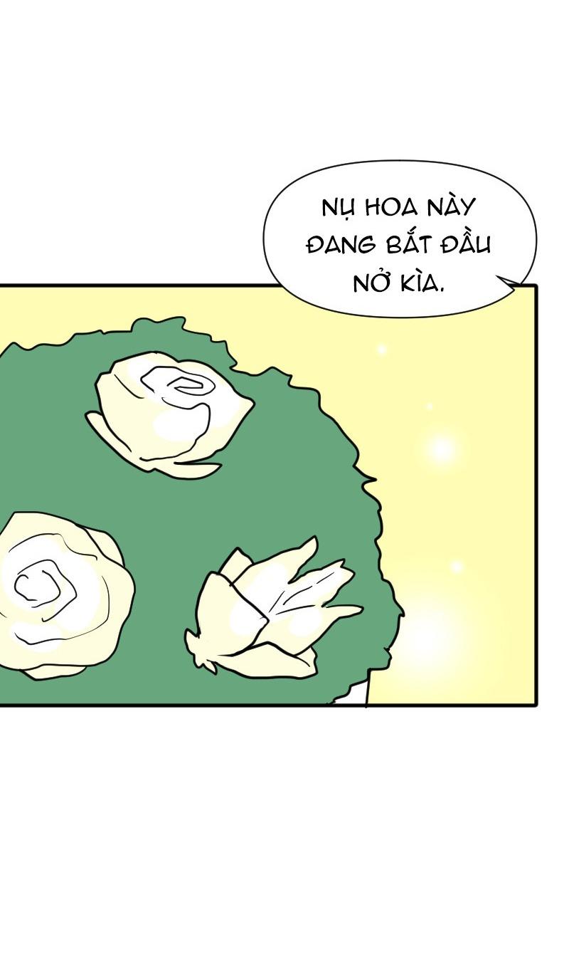 Truyện Ngôn Nhưng Không Ngôn Lắm Chapter 62 - Trang 2