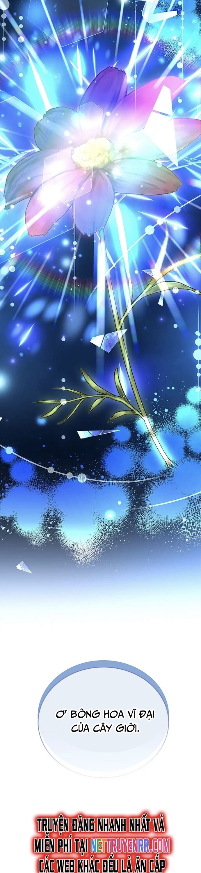 Truyền Nhân Của Thần Thoại Anh Hùng Chapter 52 - Trang 2