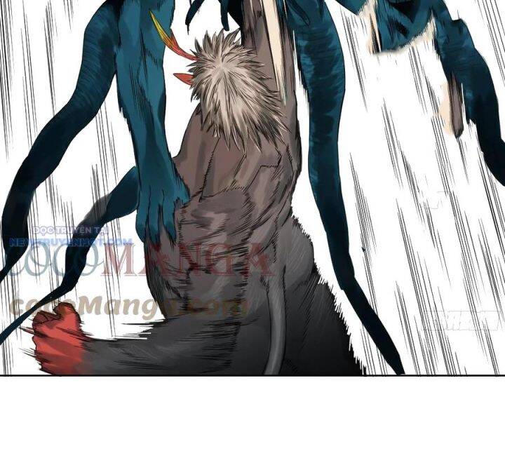 Truyền Võ Chapter 293 - Trang 2