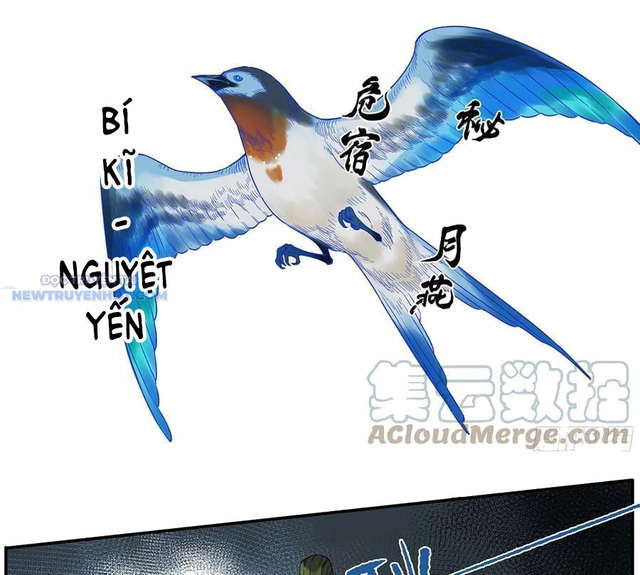 Truyền Võ Chapter 310 - Trang 2