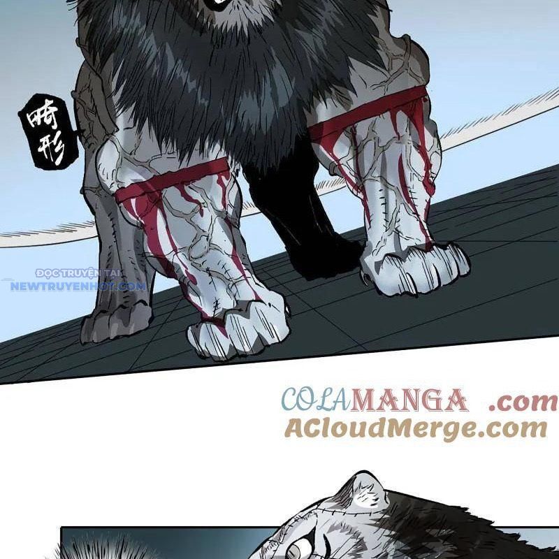 Truyền Võ Chapter 430 - Trang 2