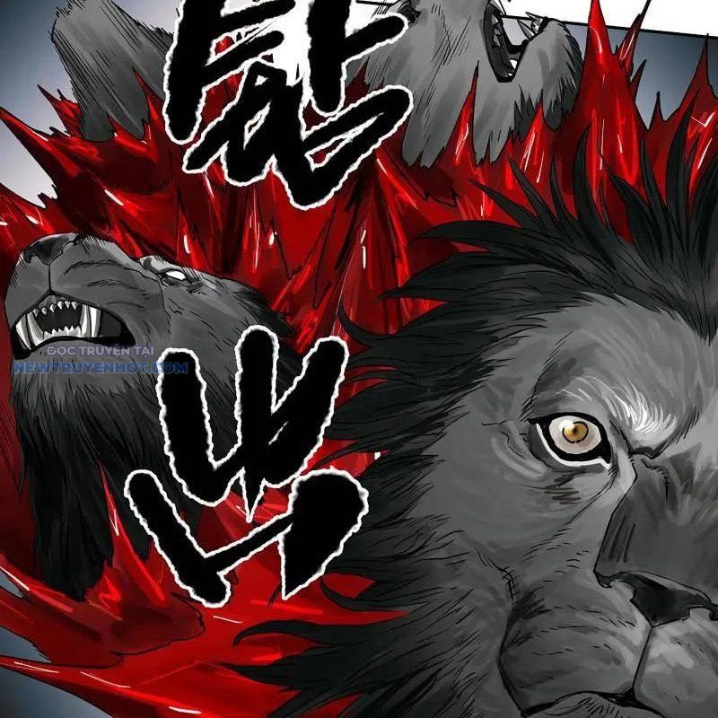 Truyền Võ Chapter 432 - Trang 2