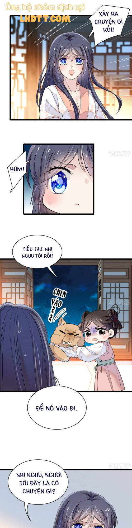 Tự Cẩm Chapter 106 - Trang 2