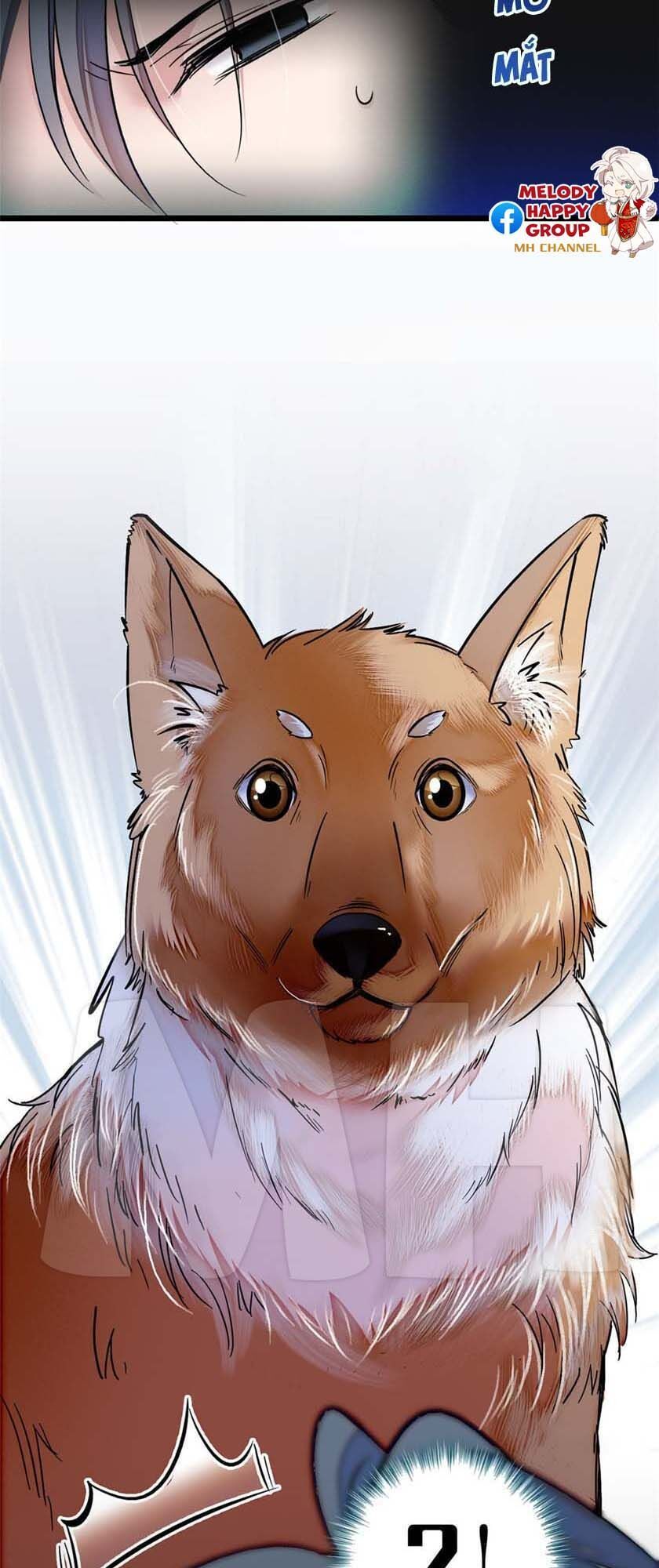 Tự Cẩm Chapter 11 - Trang 2