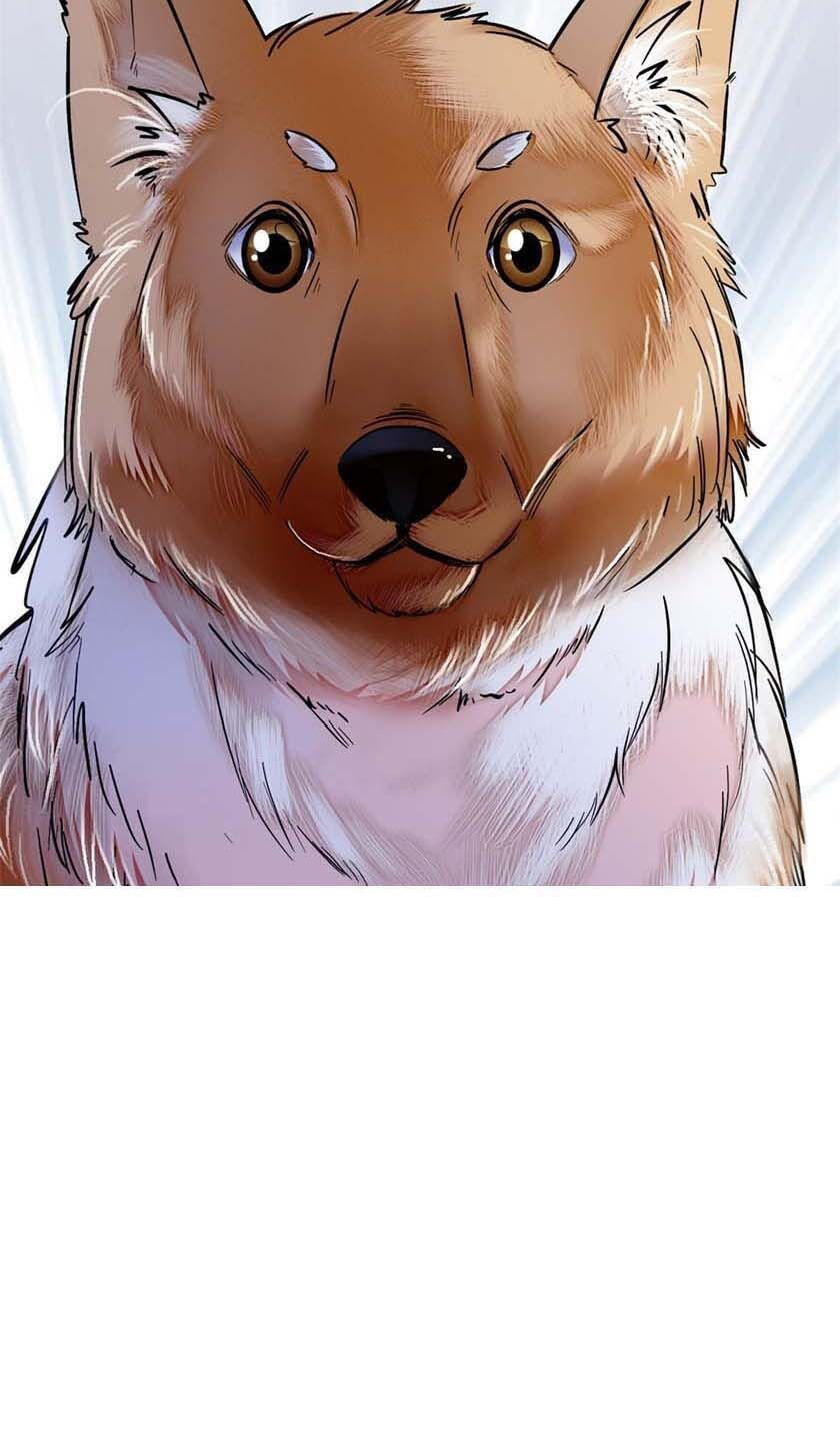 Tự Cẩm Chapter 11 - Trang 2