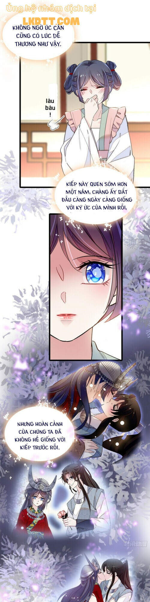 Tự Cẩm Chapter 115 - Trang 2