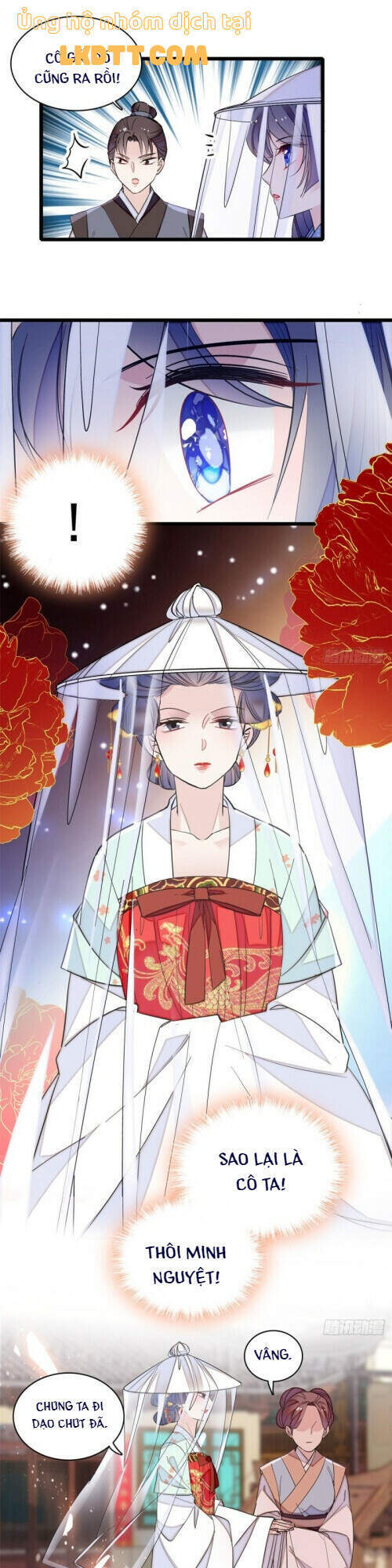 Tự Cẩm Chapter 116 - Trang 2