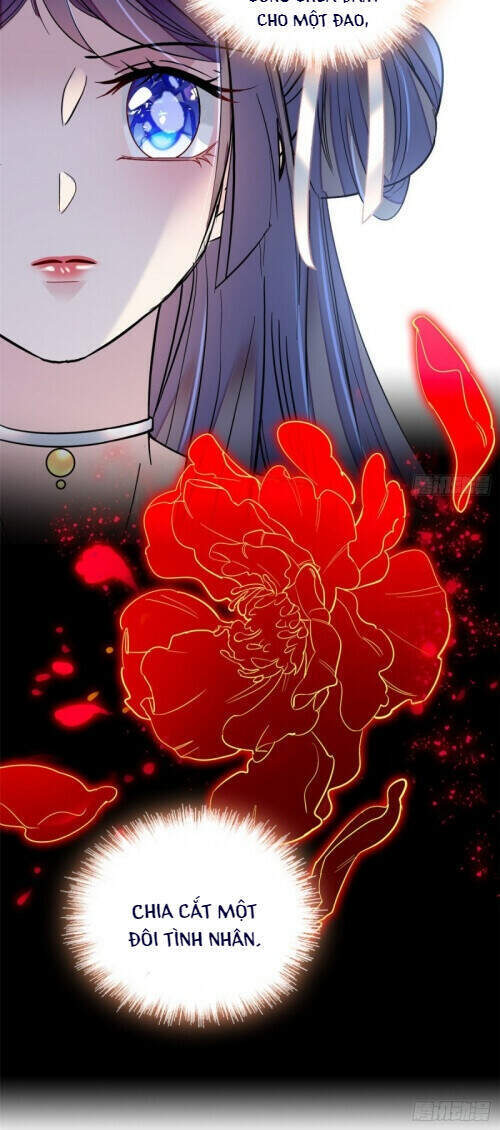 Tự Cẩm Chapter 116 - Trang 2