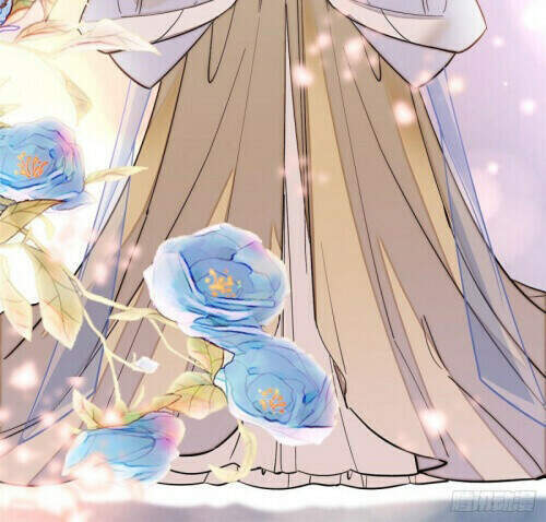 Tự Cẩm Chapter 119 - Trang 2