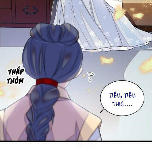 Tự Cẩm Chapter 120 - Trang 2