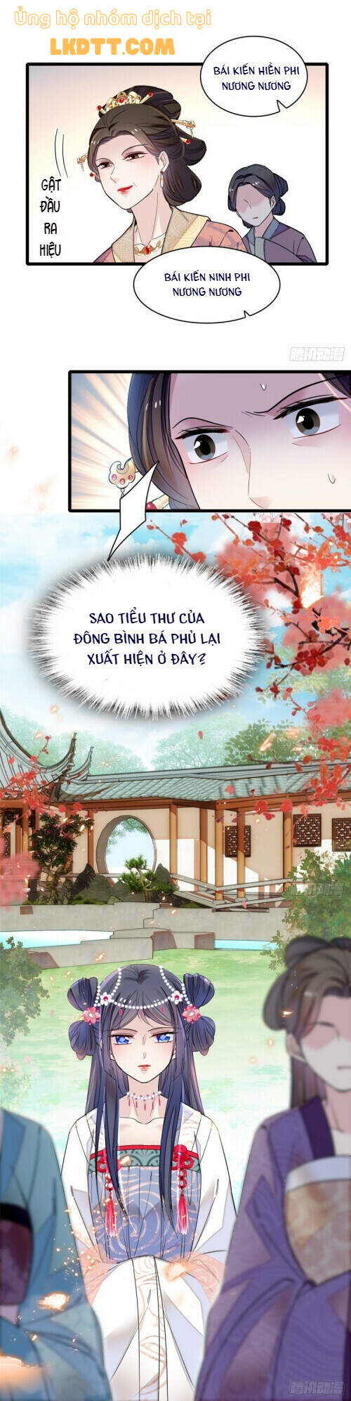 Tự Cẩm Chapter 124 - Trang 2