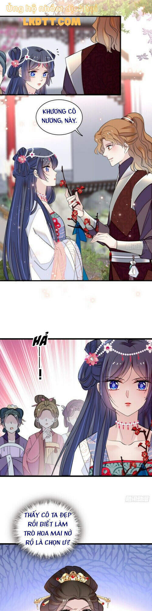 Tự Cẩm Chapter 126 - Trang 2