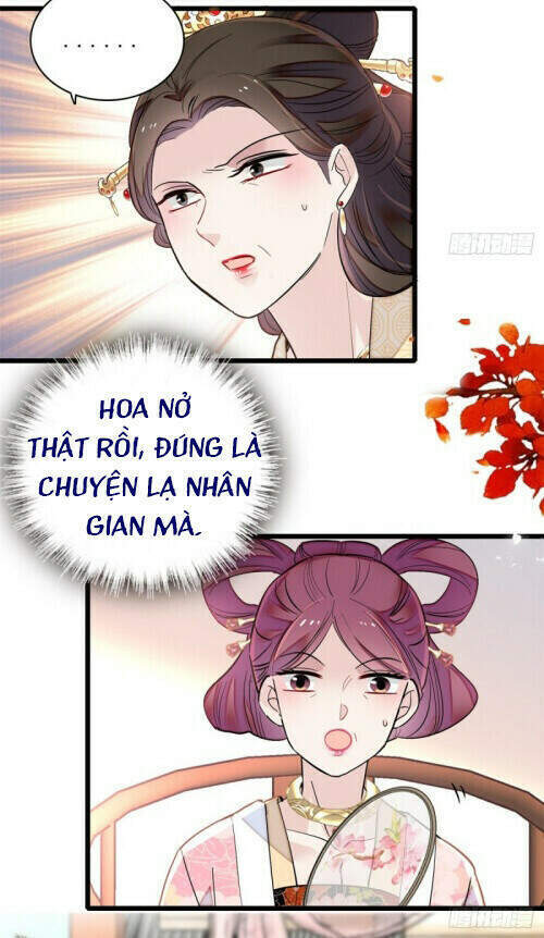 Tự Cẩm Chapter 126 - Trang 2