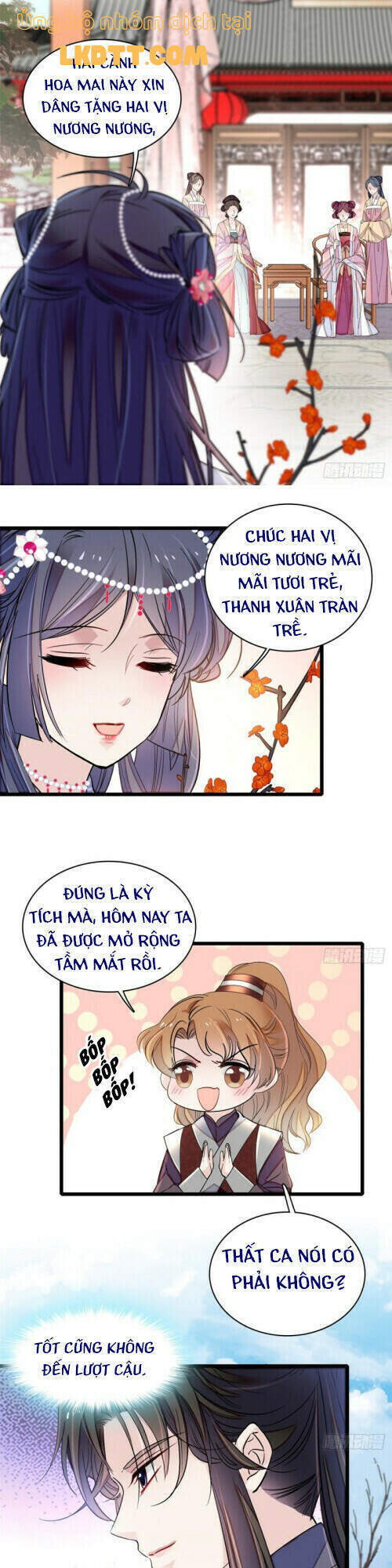 Tự Cẩm Chapter 126 - Trang 2