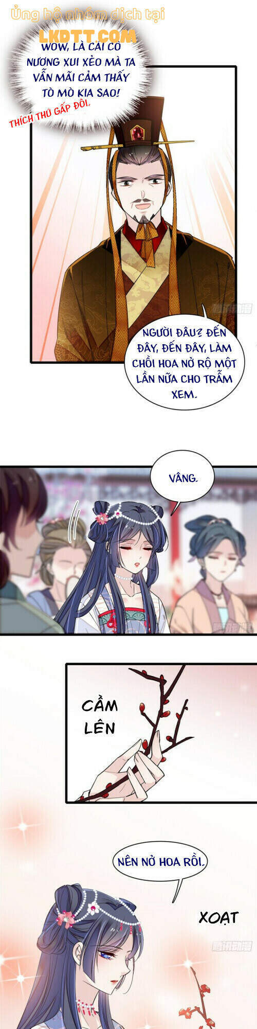 Tự Cẩm Chapter 127 - Trang 2