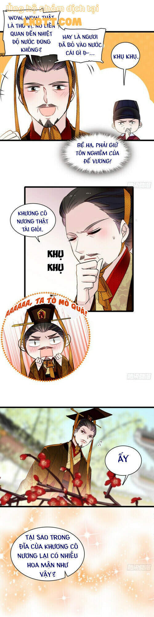 Tự Cẩm Chapter 127 - Trang 2