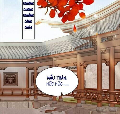 Tự Cẩm Chapter 132 - Trang 2