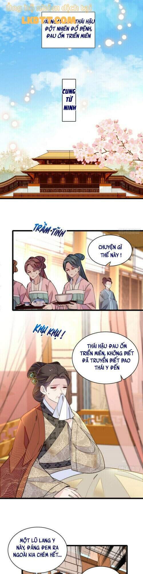Tự Cẩm Chapter 132 - Trang 2