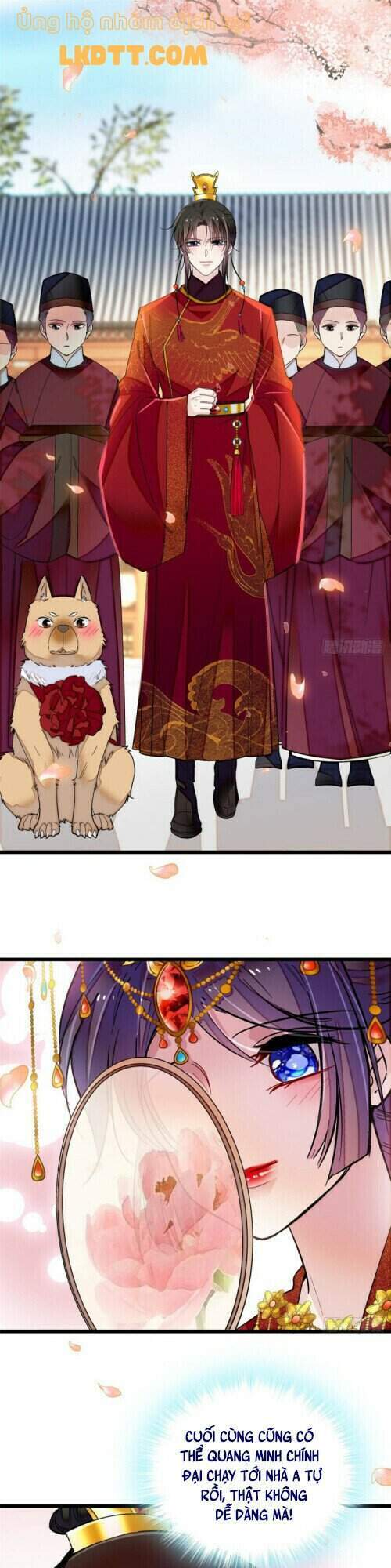 Tự Cẩm Chapter 134 - Trang 2