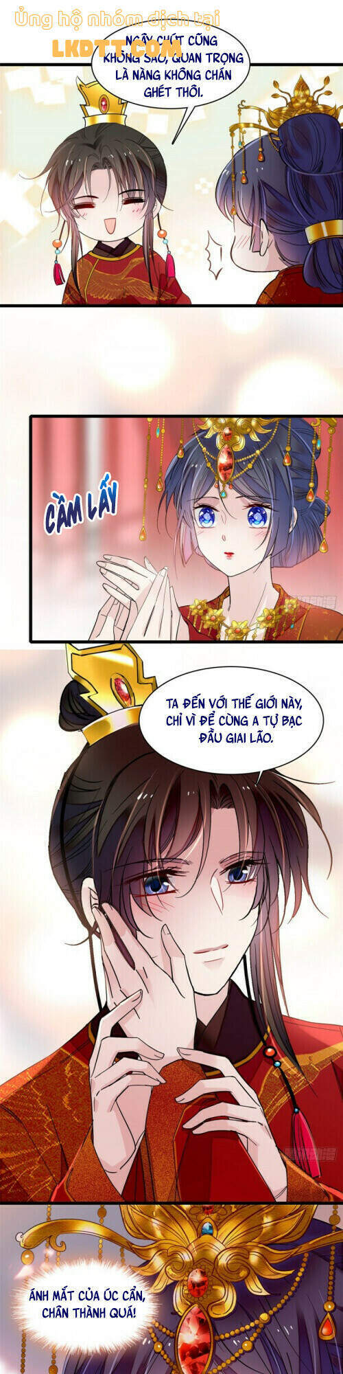 Tự Cẩm Chapter 135 - Trang 2