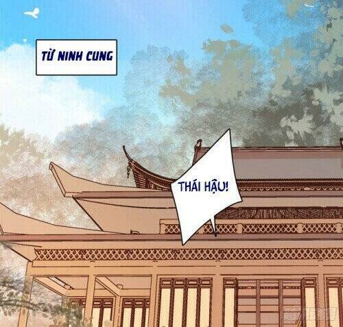 Tự Cẩm Chapter 138 - Trang 2