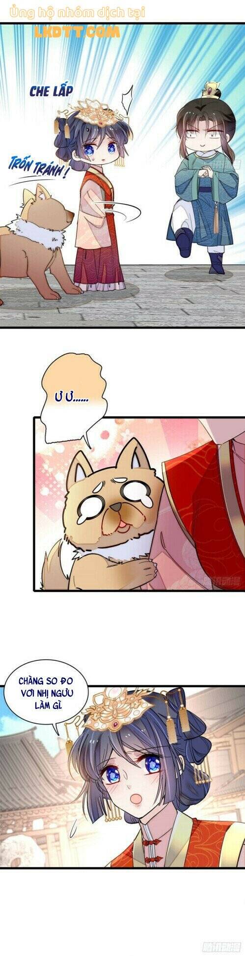 Tự Cẩm Chapter 140 - Trang 2