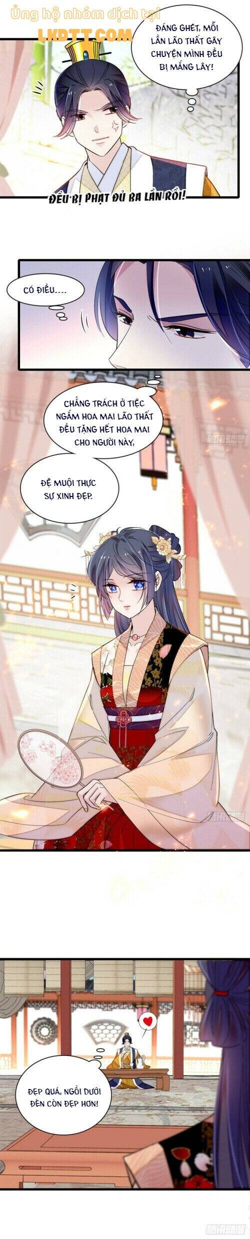 Tự Cẩm Chapter 143 - Trang 2