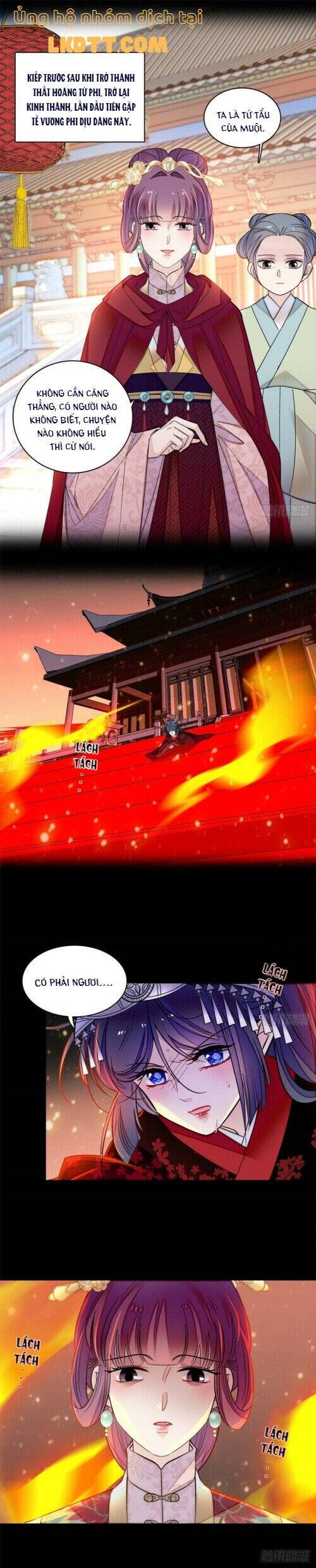 Tự Cẩm Chapter 143 - Trang 2