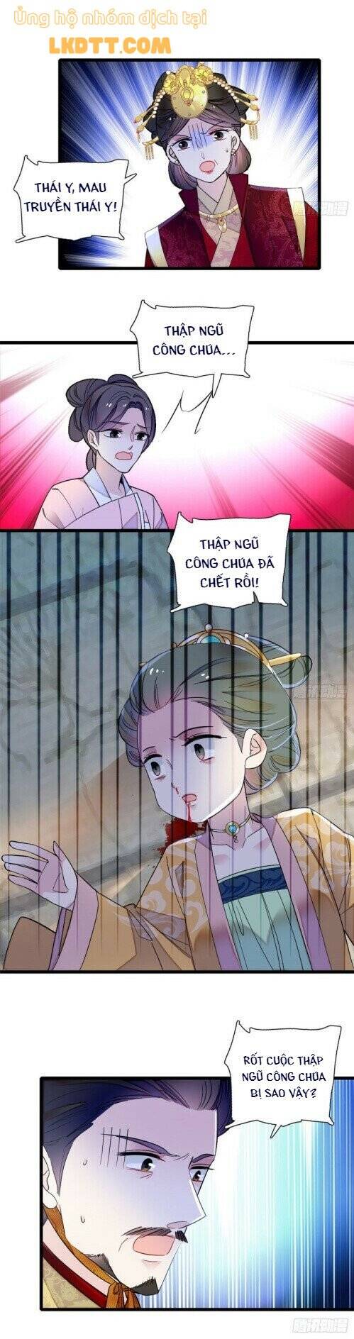 Tự Cẩm Chapter 144 - Trang 2