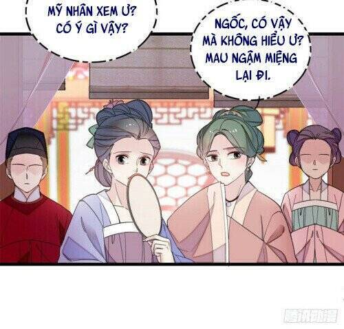 Tự Cẩm Chapter 145 - Trang 2