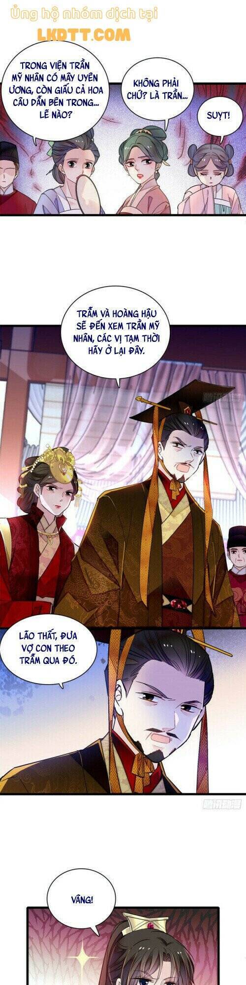 Tự Cẩm Chapter 145 - Trang 2