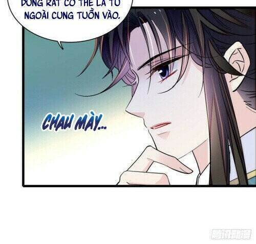 Tự Cẩm Chapter 145 - Trang 2