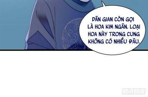 Tự Cẩm Chapter 145 - Trang 2