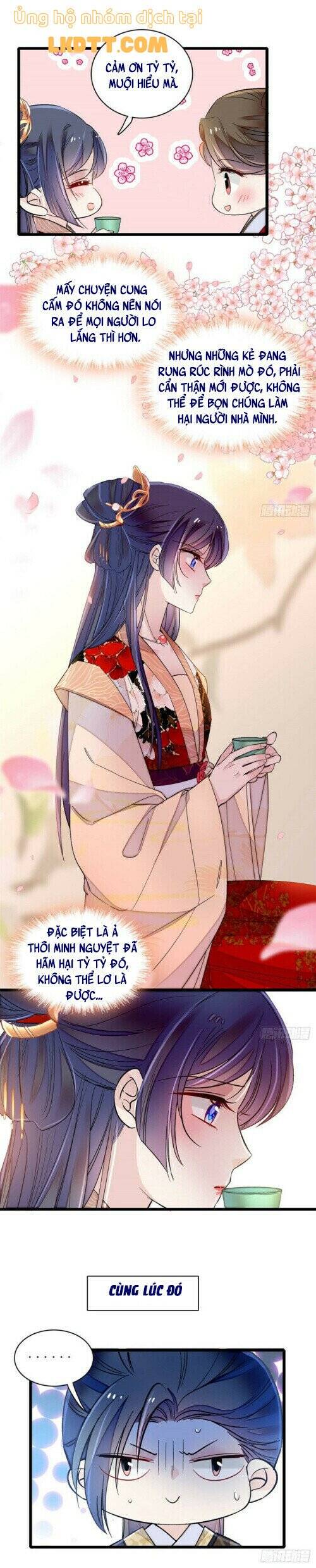 Tự Cẩm Chapter 146 - Trang 2