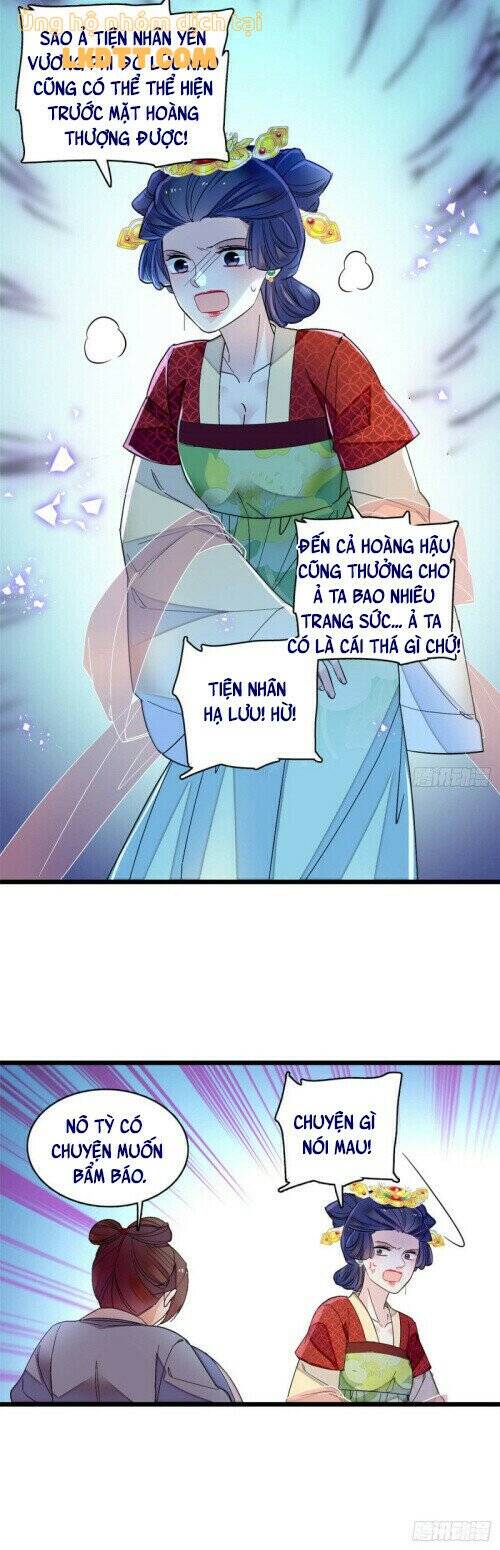 Tự Cẩm Chapter 146 - Trang 2