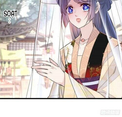 Tự Cẩm Chapter 147 - Trang 2