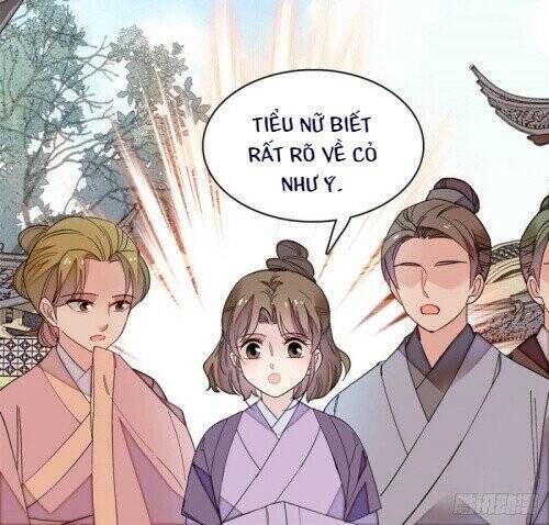 Tự Cẩm Chapter 147 - Trang 2