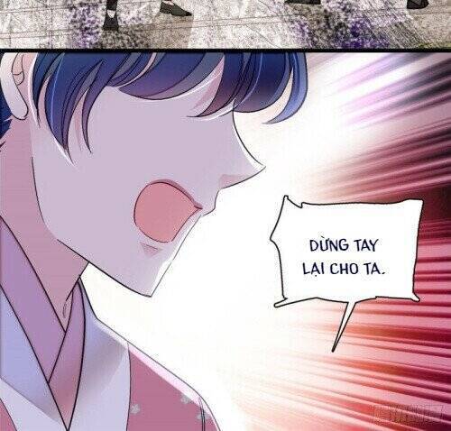 Tự Cẩm Chapter 147 - Trang 2