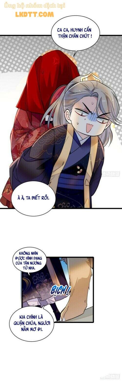 Tự Cẩm Chapter 152 - Trang 2