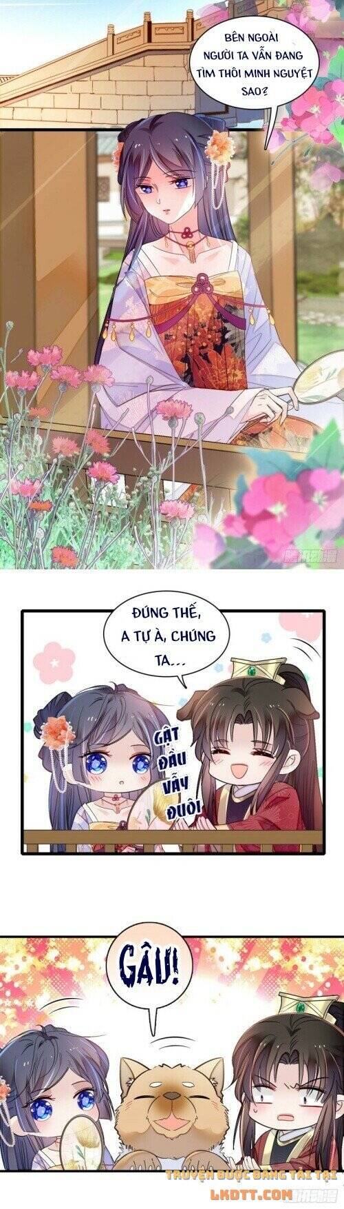 Tự Cẩm Chapter 158 - Trang 2
