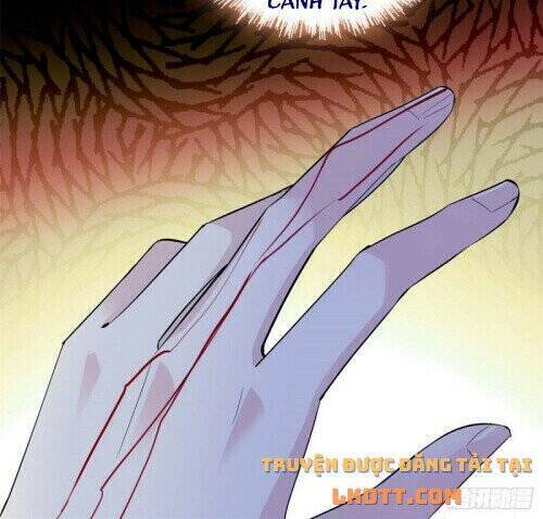 Tự Cẩm Chapter 159 - Trang 2