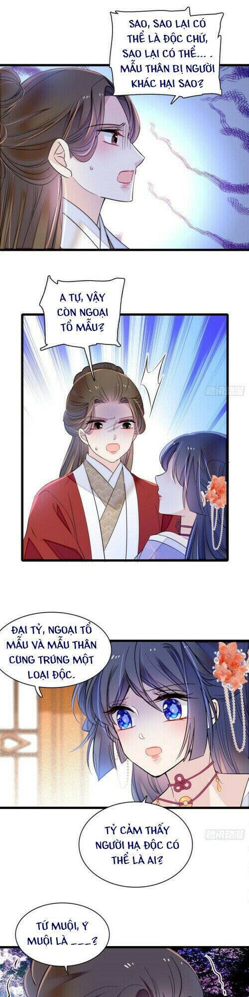 Tự Cẩm Chapter 159 - Trang 2