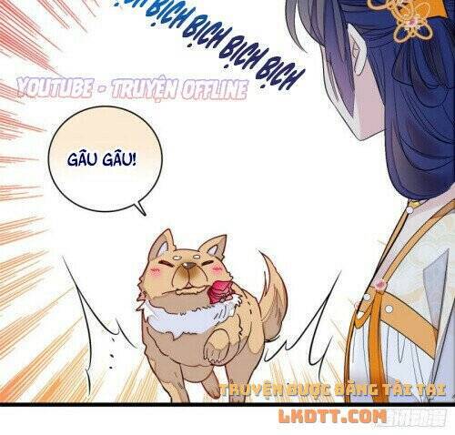 Tự Cẩm Chapter 165 - Trang 2