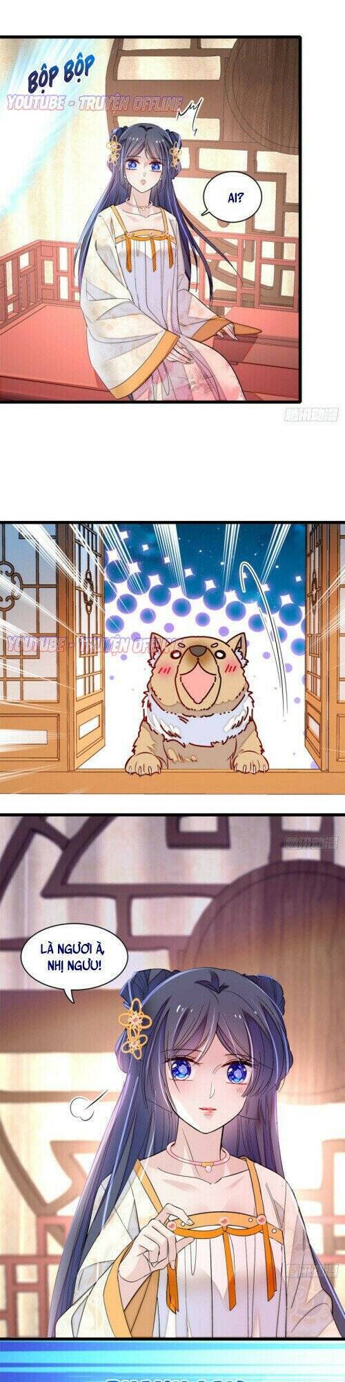 Tự Cẩm Chapter 165 - Trang 2