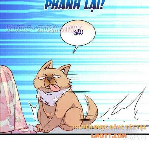 Tự Cẩm Chapter 165 - Trang 2