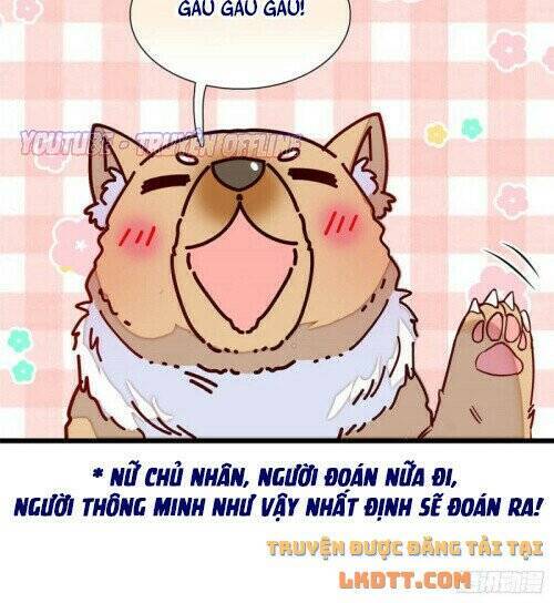 Tự Cẩm Chapter 165 - Trang 2