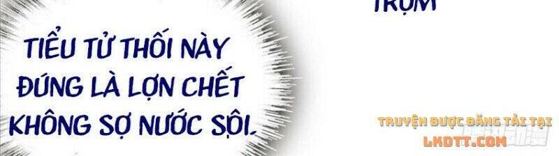 Tự Cẩm Chapter 168 - Trang 2